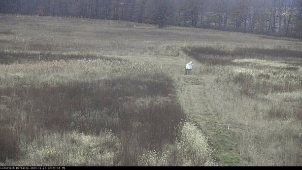 Cell 1 to 2_23-12-21_14-23-33-60