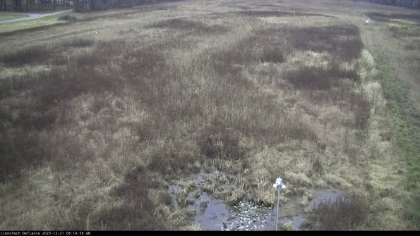 Cell 1_23-12-21_08-14-58-59