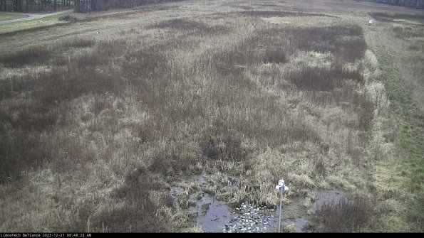 Cell 1_23-12-21_08-48-26-60