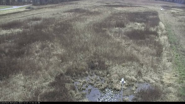 Cell 1_23-12-21_11-02-22-59