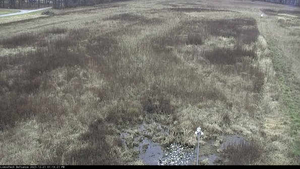 Cell 1_23-12-21_13-16-21-62