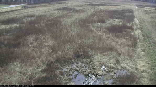 Cell 1_23-12-21_14-23-19-62