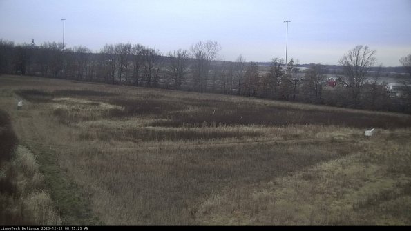 Cell 2_23-12-21_08-15-25-62