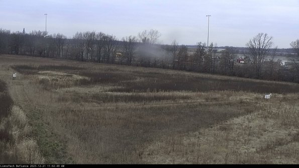 Cell 2_23-12-21_11-02-49-62