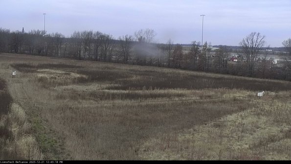 Cell 2_23-12-21_12-43-18-63