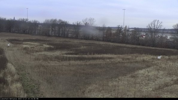 Cell 2_23-12-21_13-16-48-68