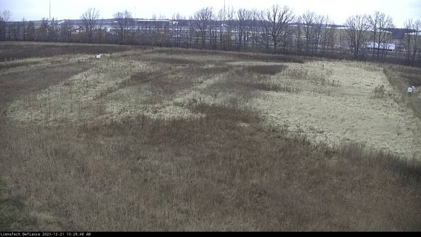 Cell 3_23-12-21_10-29-48-87