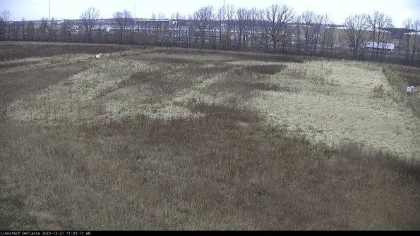 Cell 3_23-12-21_11-03-17-58