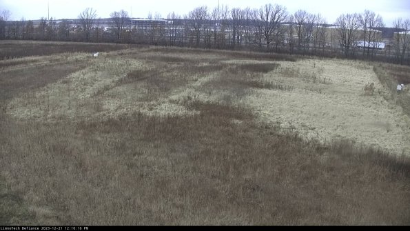 Cell 3_23-12-21_12-10-16-61