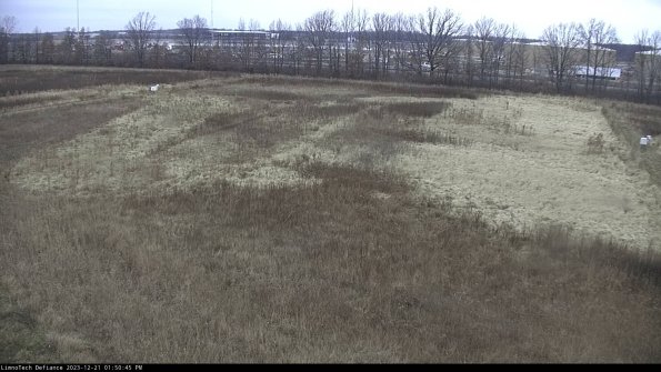 Cell 3_23-12-21_13-50-45-59