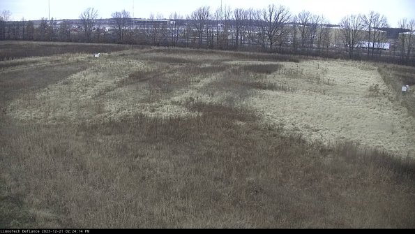 Cell 3_23-12-21_14-24-14-61