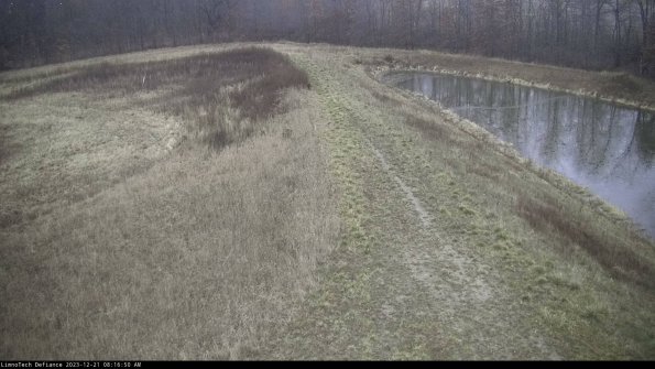 Cell 4 to Basin_23-12-21_08-16-50-61