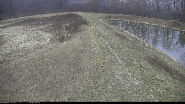 Cell 4 to Basin_23-12-21_09-57-16-64