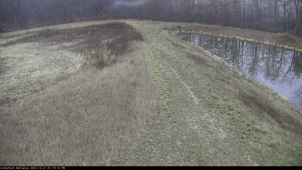 Cell 4 to Basin_23-12-21_13-18-14-63