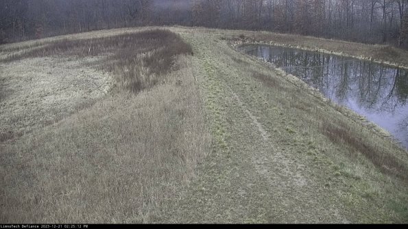 Cell 4 to Basin_23-12-21_14-25-12-60