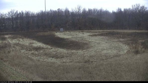 Cell 4_23-12-21_11-03-45-61