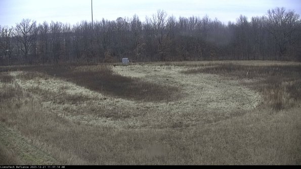 Cell 4_23-12-21_11-37-14-59