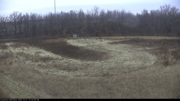 Cell 4_23-12-21_12-10-44-60