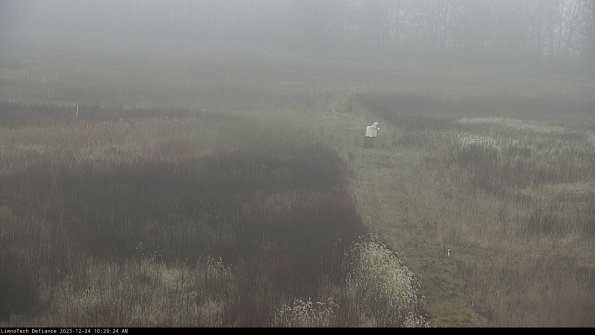 Cell 1 to 2_23-12-24_10-29-24-62