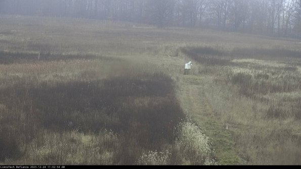 Cell 1 to 2_23-12-24_11-02-54-61