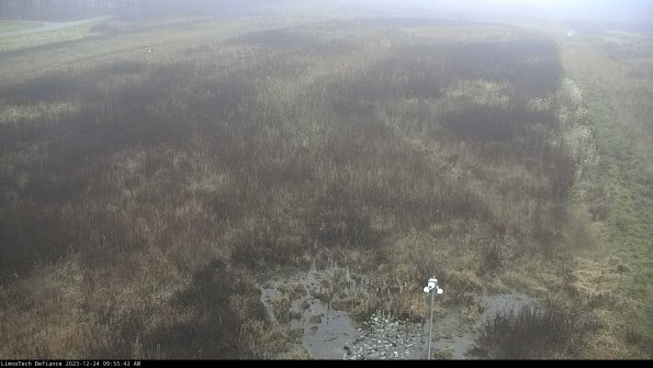 Cell 1_23-12-24_09-55-42-62