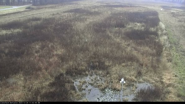 Cell 1_23-12-24_11-02-40-59