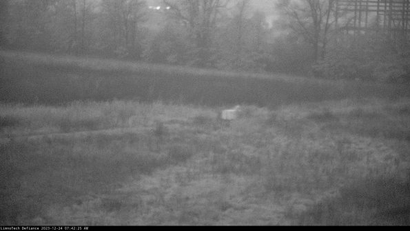 Cell 2 to 3_23-12-24_07-42-25-87