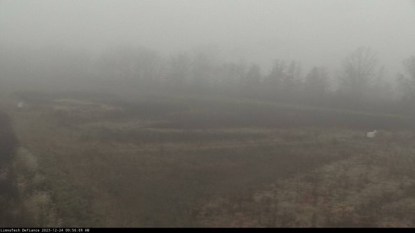 Cell 2_23-12-24_09-56-09-65