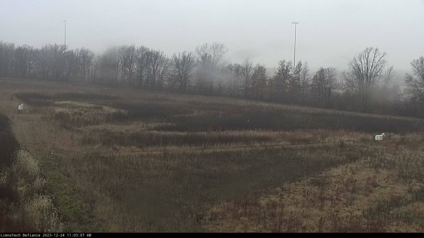 Cell 2_23-12-24_11-03-07-62