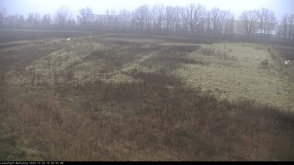 Cell 3_23-12-24_10-30-05-59