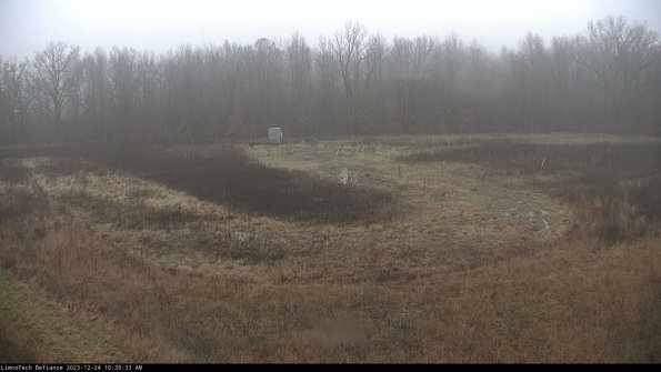 Cell 4_23-12-24_10-30-33-59