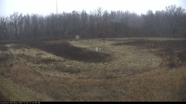 Cell 4_23-12-24_11-37-34-59