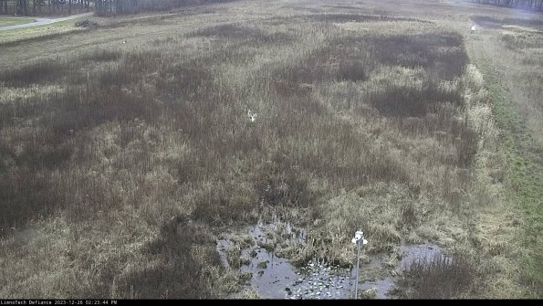 Cell 1_23-12-26_14-23-44-61