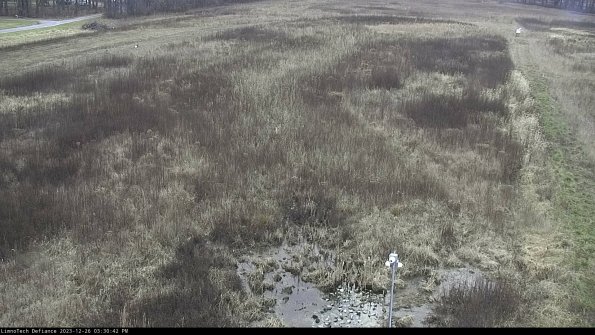 Cell 1_23-12-26_15-30-42-61