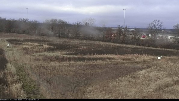 Cell 2_23-12-26_10-29-46-67