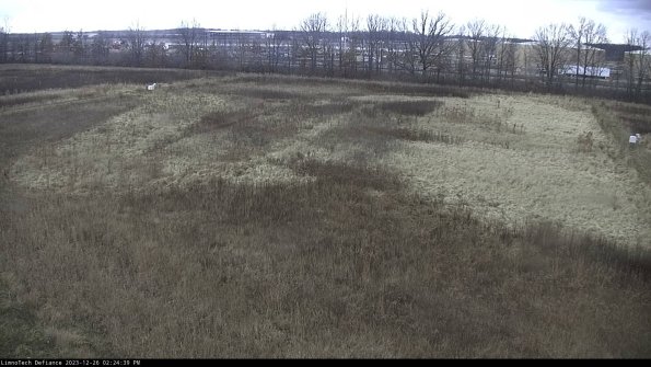 Cell 3_23-12-26_14-24-39-63