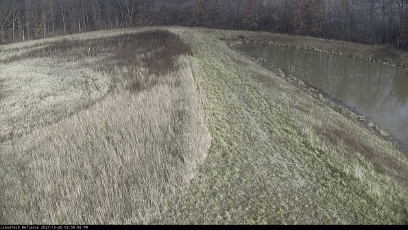 Cell 4 to Basin_23-12-26_14-59-06-60