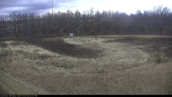 Cell 4_23-12-26_14-25-07-62