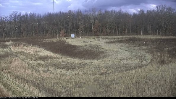 Cell 4_23-12-26_14-58-36-64