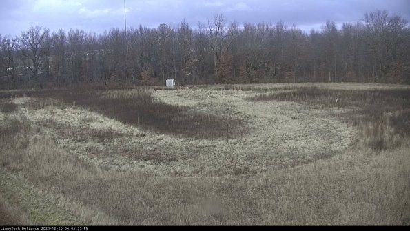 Cell 4_23-12-26_16-05-35-61