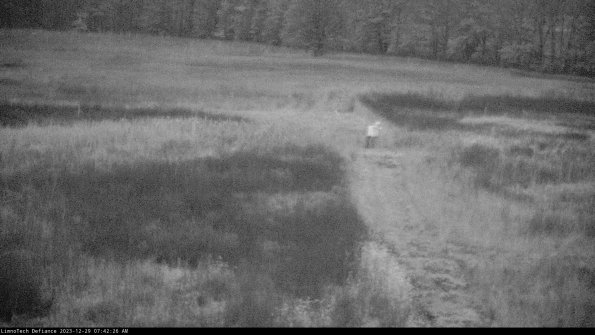 Cell 1 to 2_23-12-29_07-42-26-62