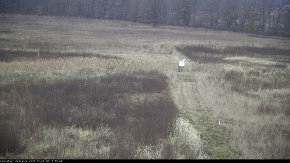 Cell 1 to 2_23-12-29_08-15-58-61