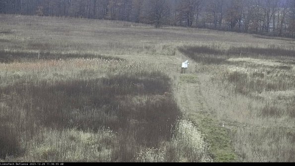 Cell 1 to 2_23-12-29_11-36-55-62