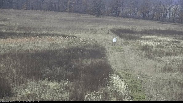 Cell 1 to 2_23-12-29_12-10-25-60