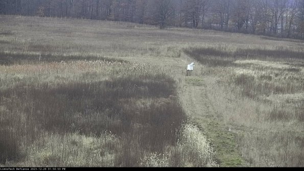 Cell 1 to 2_23-12-29_13-50-53-62