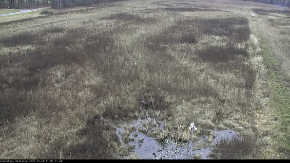 Cell 1_23-12-29_11-03-11-59