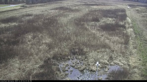 Cell 1_23-12-29_14-57-36-63