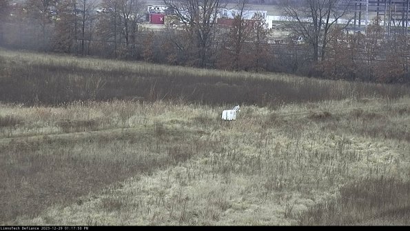 Cell 2 to 3_23-12-29_13-17-50-73