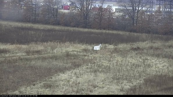 Cell 2 to 3_23-12-29_13-51-19-71