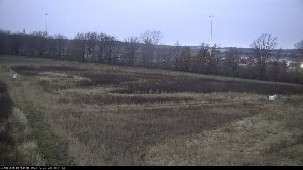 Cell 2_23-12-29_08-16-11-69